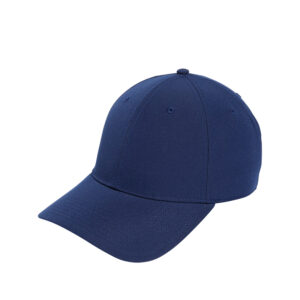 Golf Performance Men?s Cap (Navy/Blue)